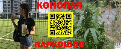 трава Камышлов