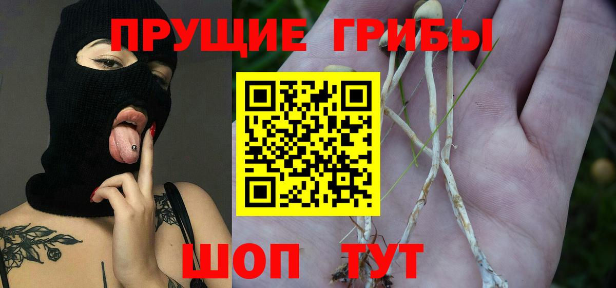 Галлюциногенные грибы ЛСД  Псилоцибиновые грибы ЛСД  Дагестанские Огни  Вход с VPN 
